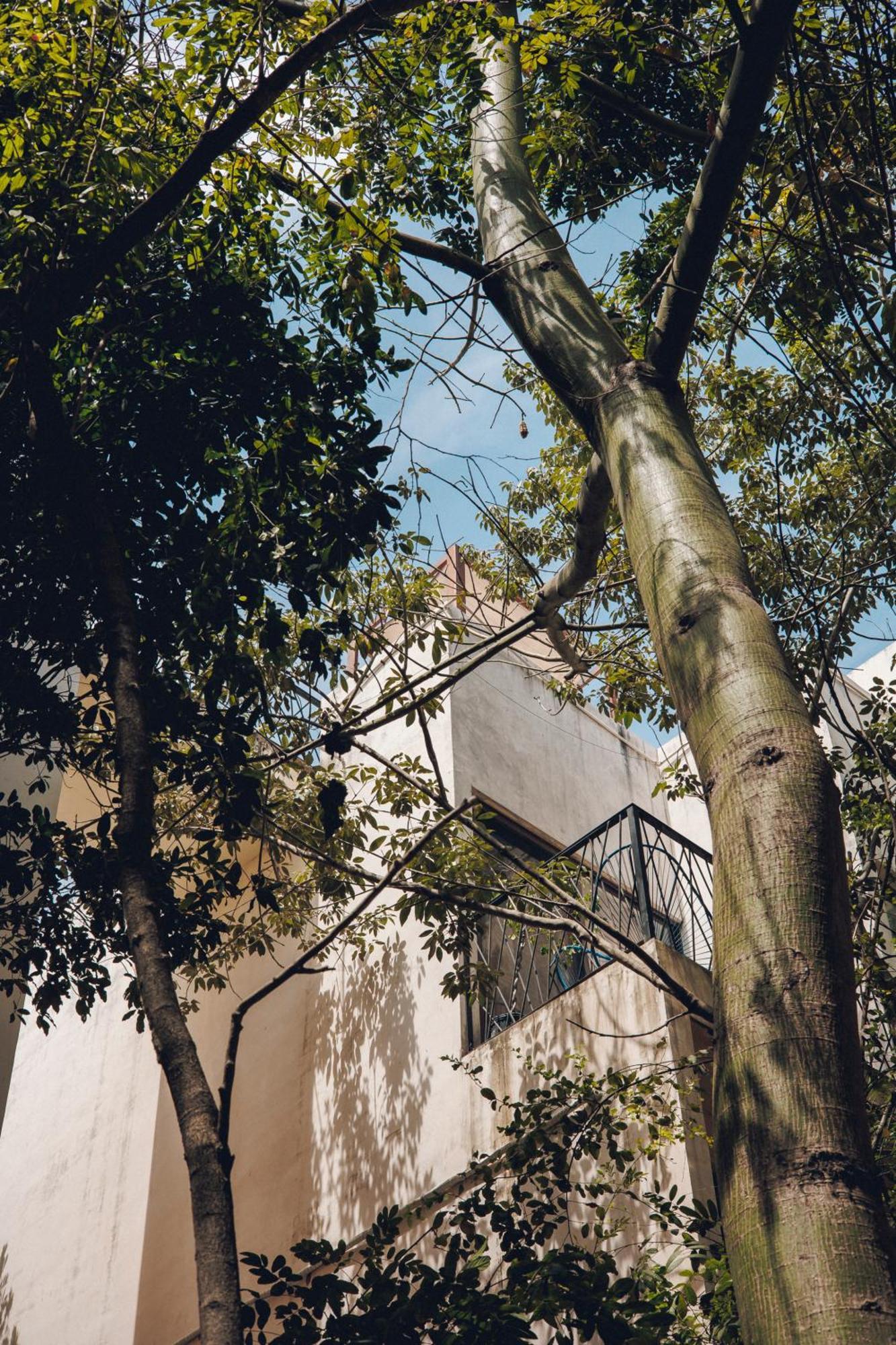 2 Bikes Free Exlusive Building Close To The Sea Tulum Exterior foto