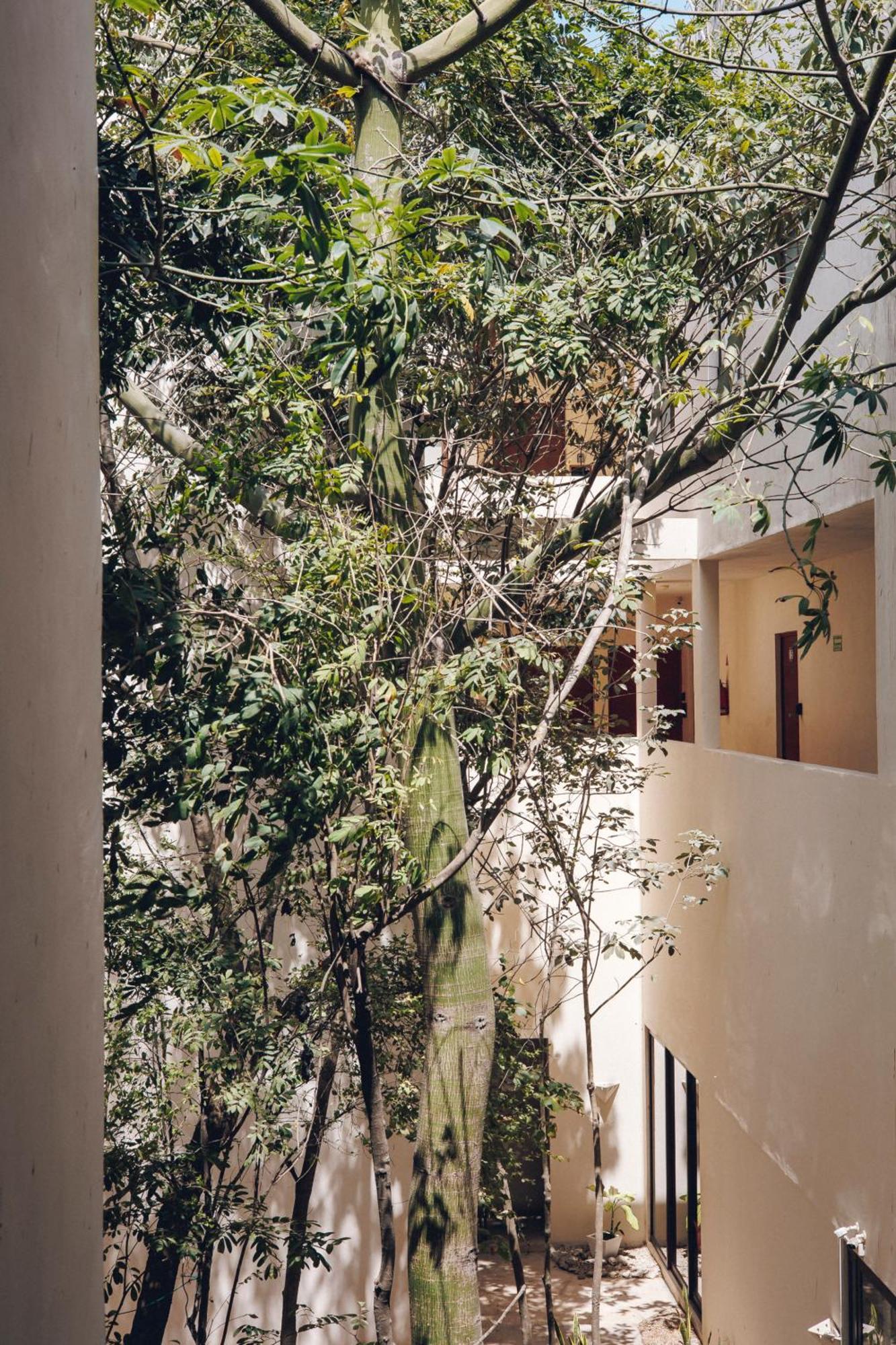 2 Bikes Free Exlusive Building Close To The Sea Tulum Exterior foto